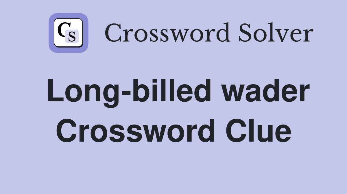 Long-billed wader Crossword Clue