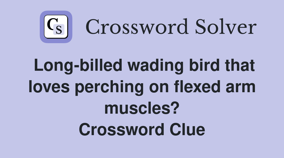 Long-billed wading bird that loves perching on flexed arm muscles? Crossword Clue