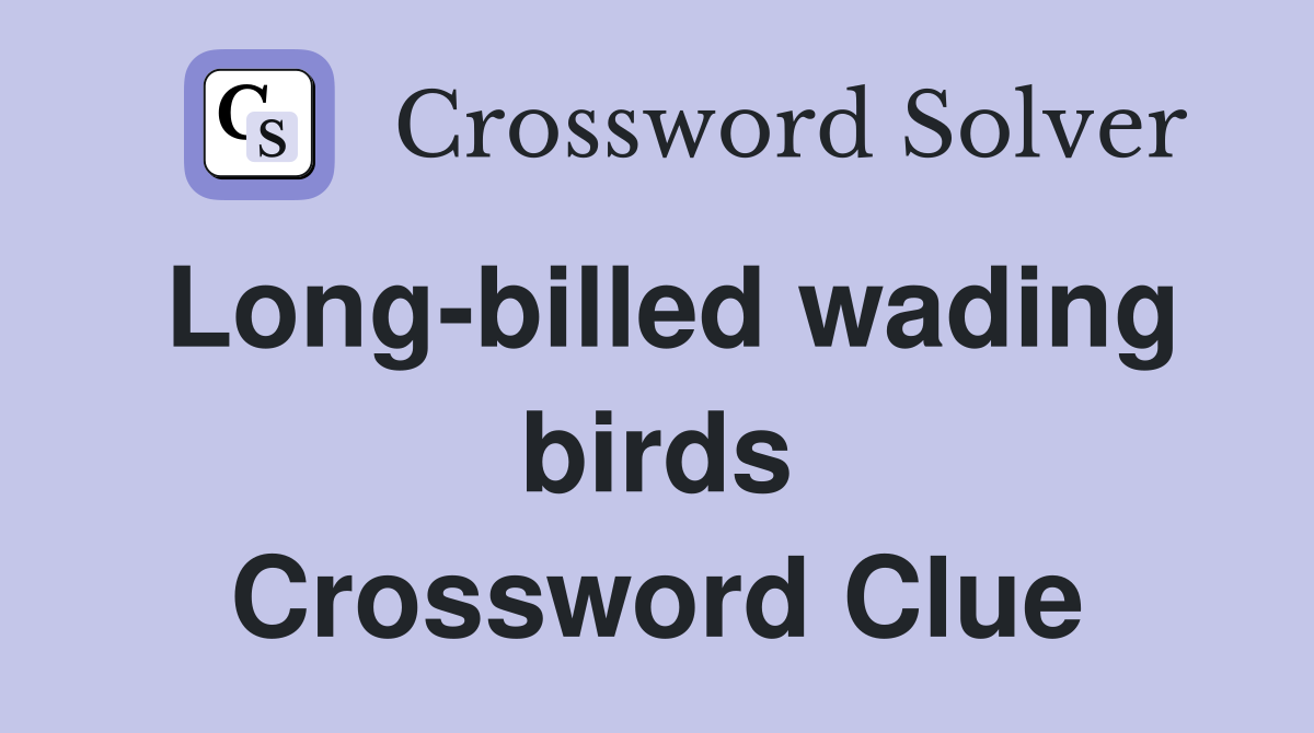 Long-billed wading birds Crossword Clue