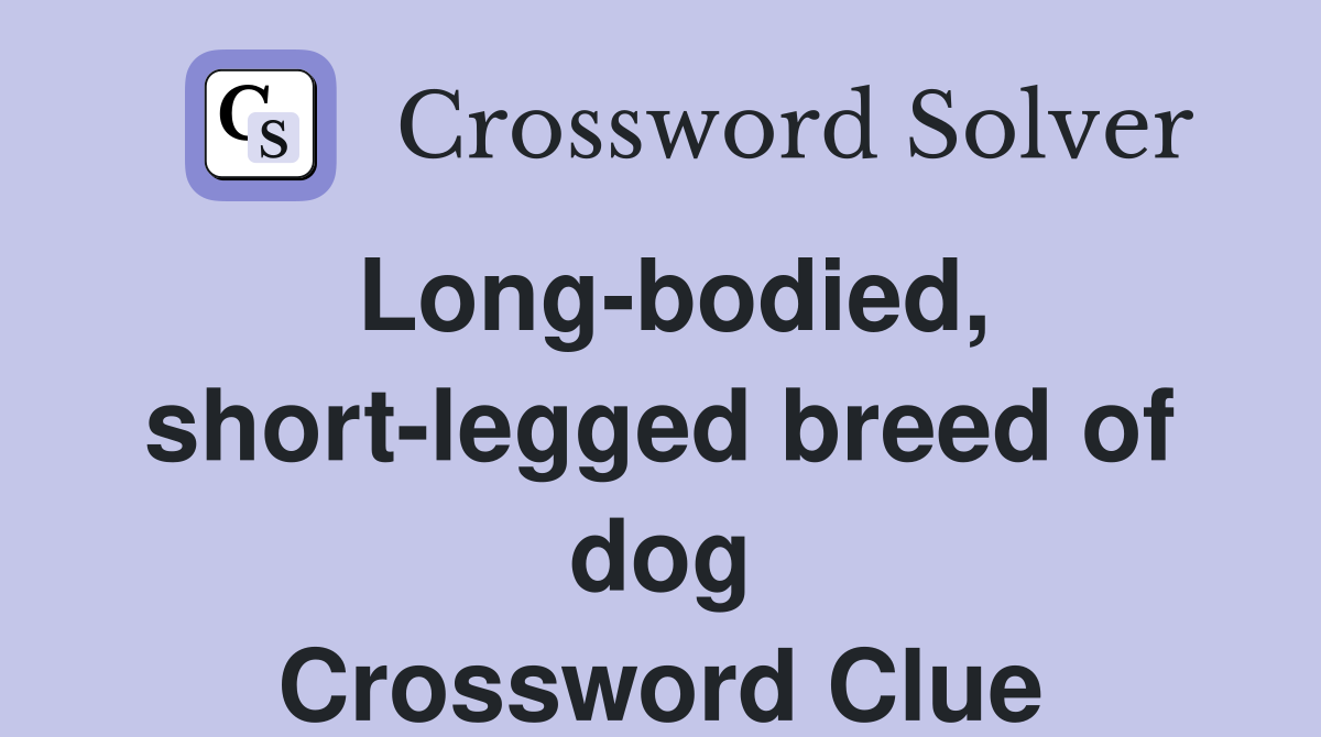 Long-bodied, short-legged breed of dog Crossword Clue