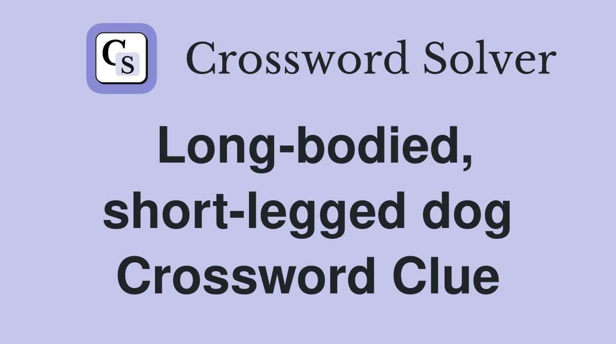 Long-bodied, short-legged dog Crossword Clue