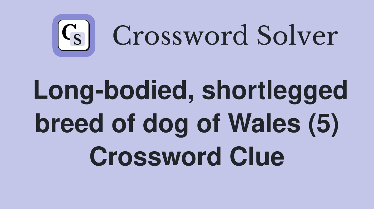 Long-bodied, shortlegged breed of dog of Wales (5) Crossword Clue