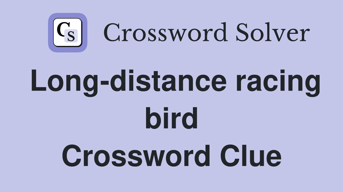 Long-distance racing bird Crossword Clue