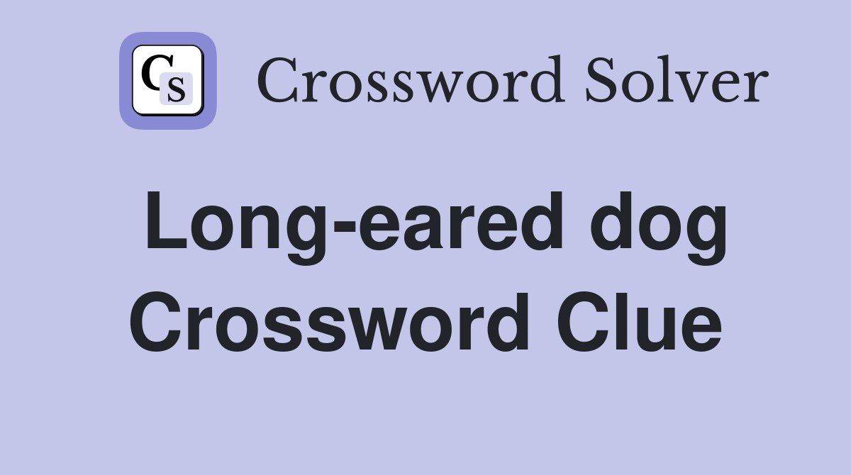 Long-eared dog Crossword Clue