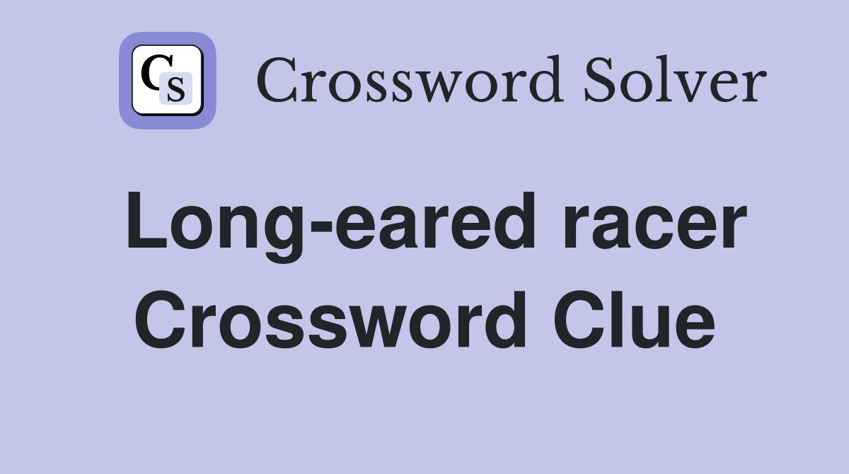 Long-eared racer Crossword Clue