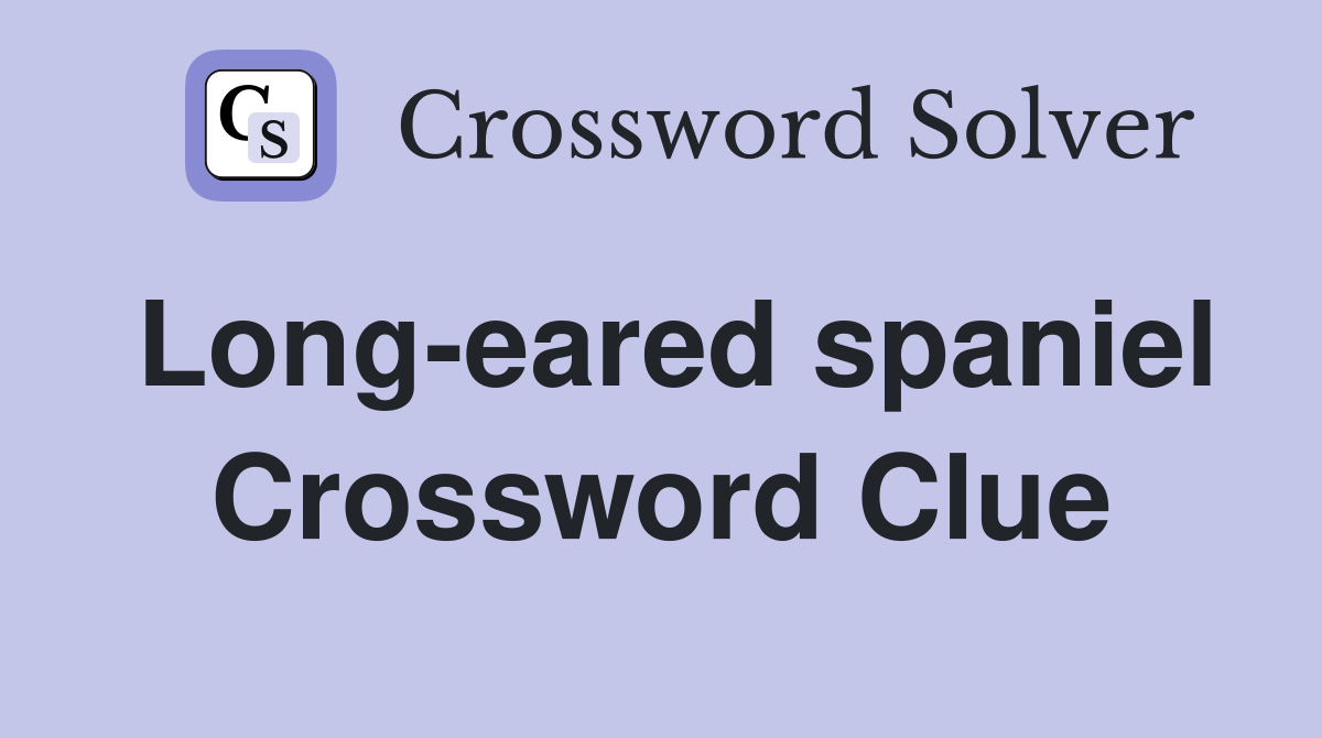 Long-eared spaniel Crossword Clue