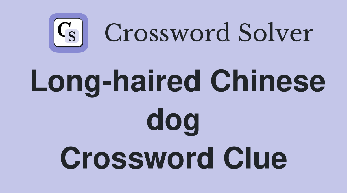 Long-haired Chinese dog Crossword Clue