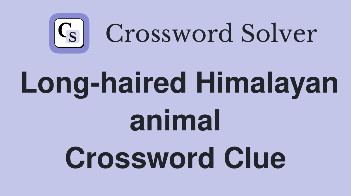 Long-haired Himalayan animal Crossword Clue