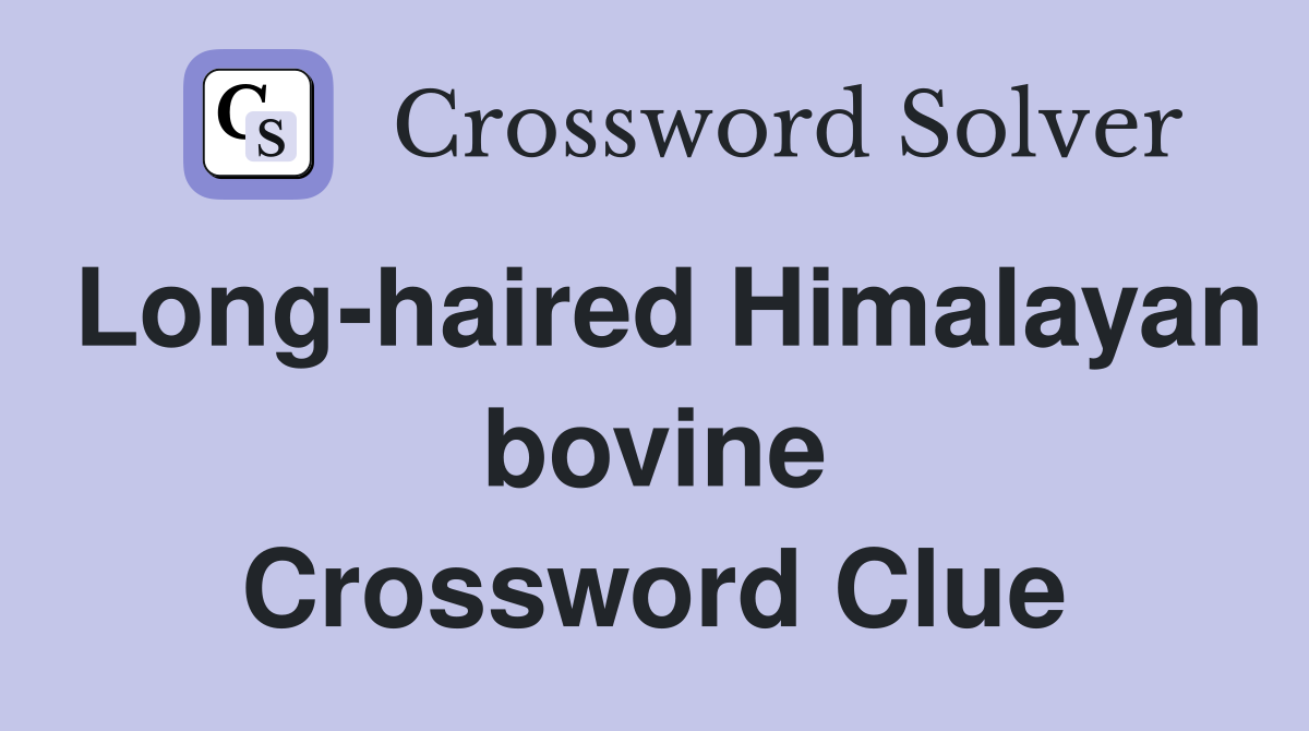 Long-haired Himalayan bovine Crossword Clue