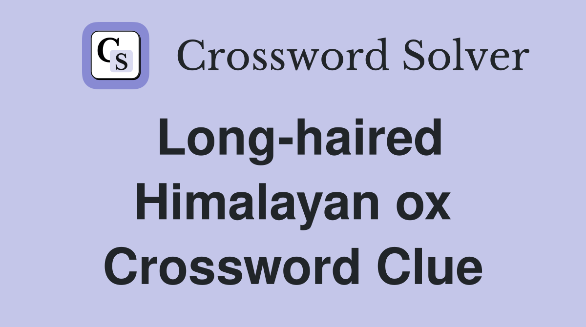 Long-haired Himalayan ox Crossword Clue