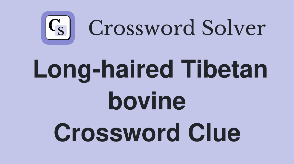 Long-haired Tibetan bovine Crossword Clue
