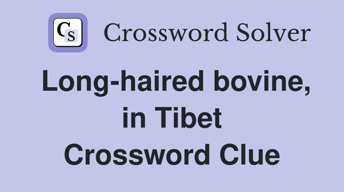 Long-haired bovine, in Tibet Crossword Clue