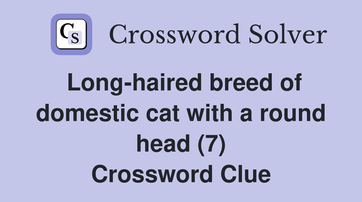 Long-haired breed of domestic cat with a round head (7) Crossword Clue