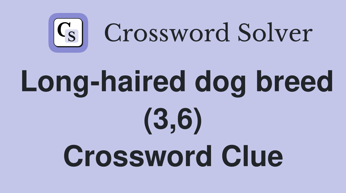 Long-haired dog breed (3,6) Crossword Clue