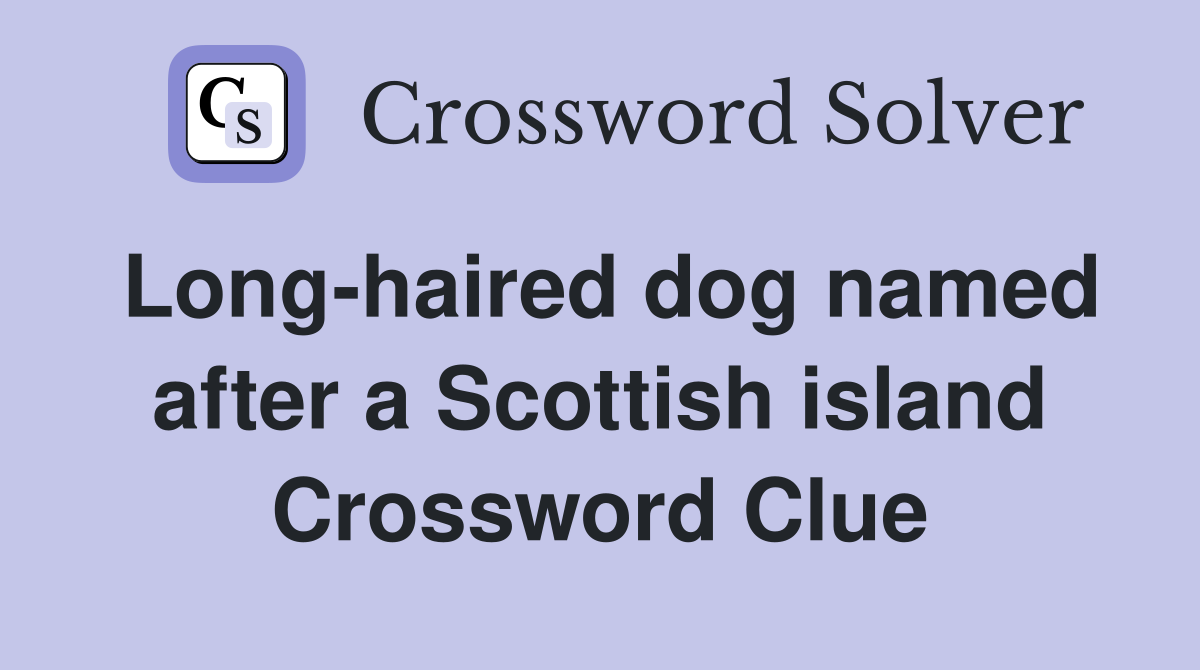 Long-haired dog named after a Scottish island Crossword Clue