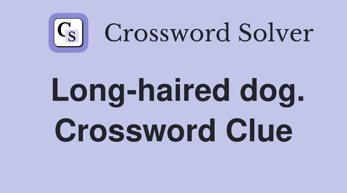 Long-haired dog. Crossword Clue
