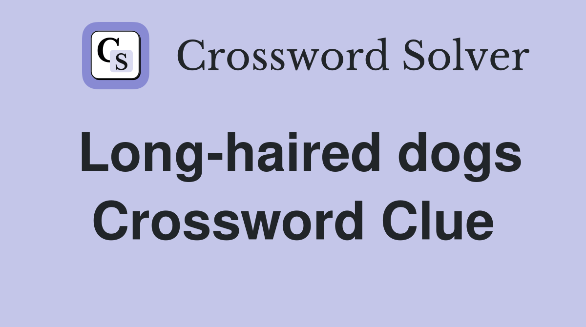 Long-haired dogs Crossword Clue