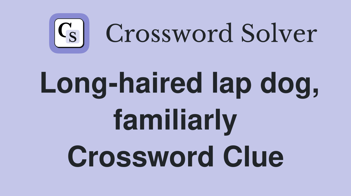 Long-haired lap dog, familiarly Crossword Clue