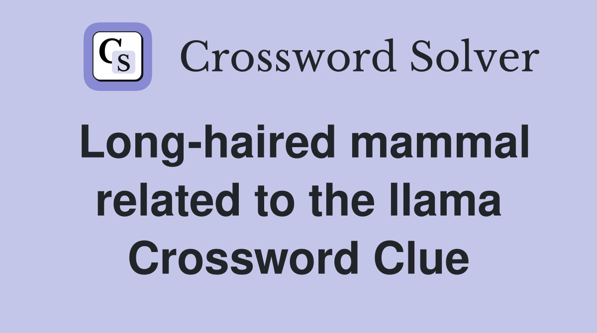 Long-haired mammal related to the llama Crossword Clue