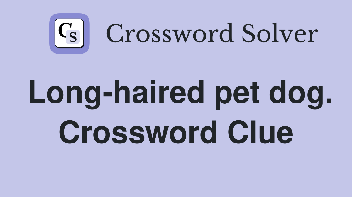 Long-haired pet dog. Crossword Clue