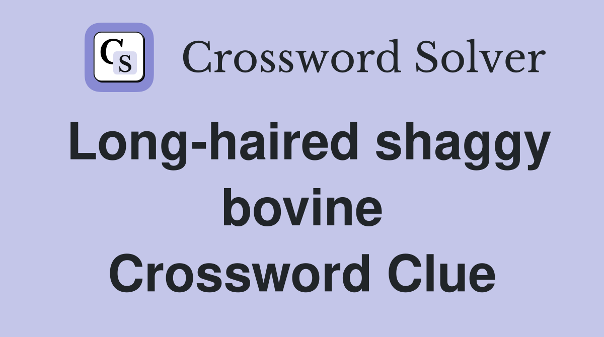 Long-haired shaggy bovine Crossword Clue