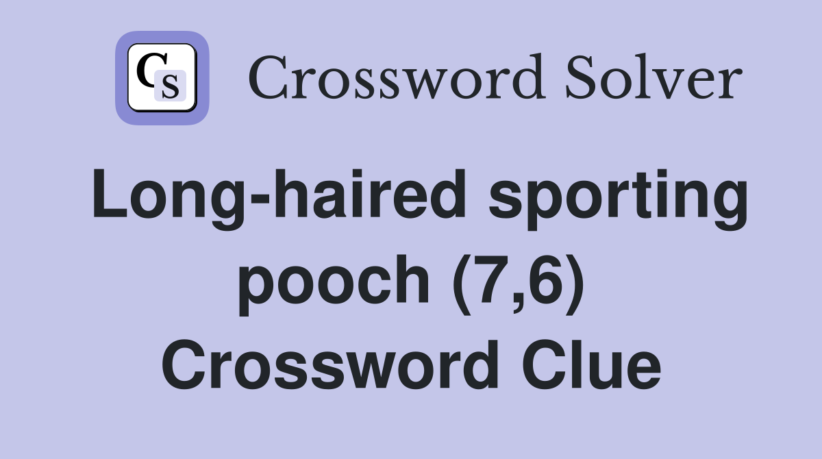 Long-haired sporting pooch (7,6) Crossword Clue