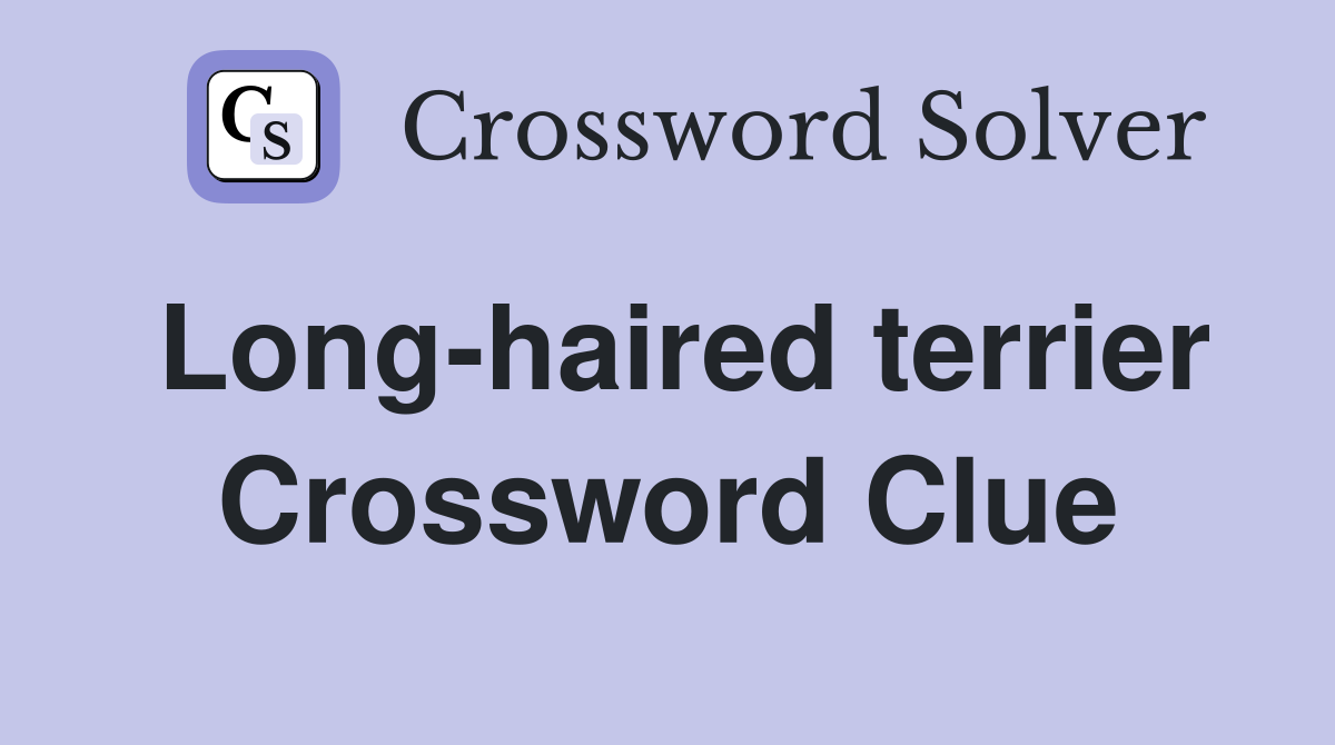 Long-haired terrier Crossword Clue