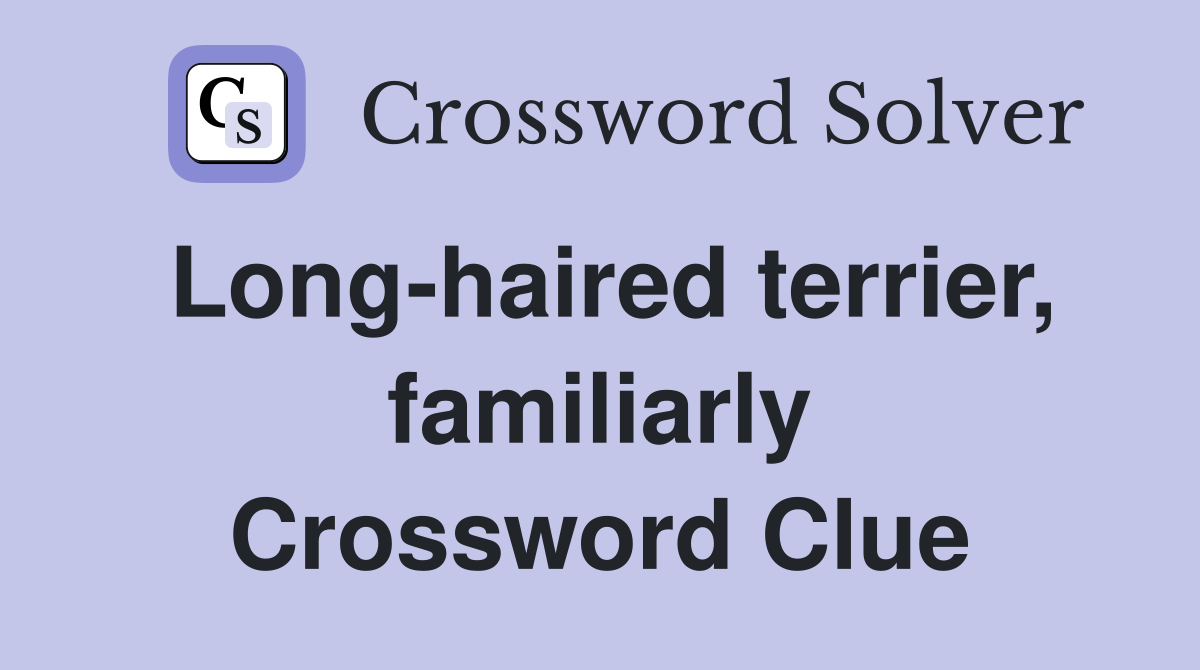 Long-haired terrier, familiarly Crossword Clue