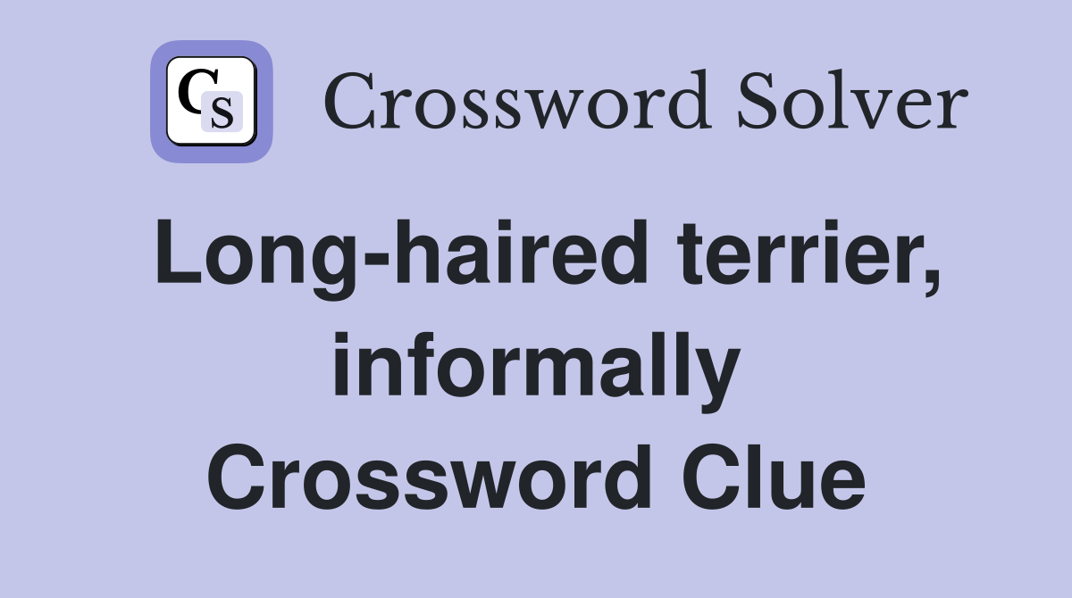 Long-haired terrier, informally Crossword Clue