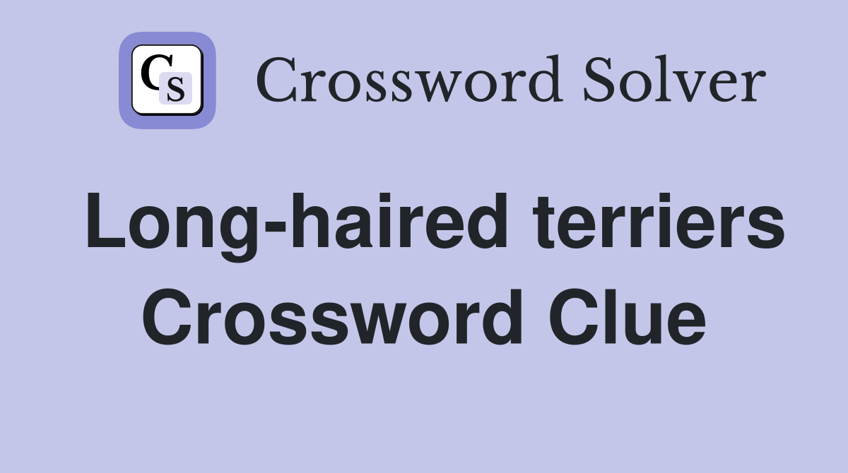 Long-haired terriers Crossword Clue