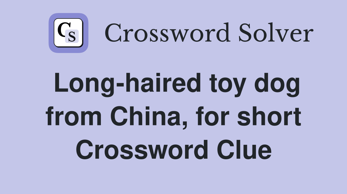 Long-haired toy dog from China, for short Crossword Clue