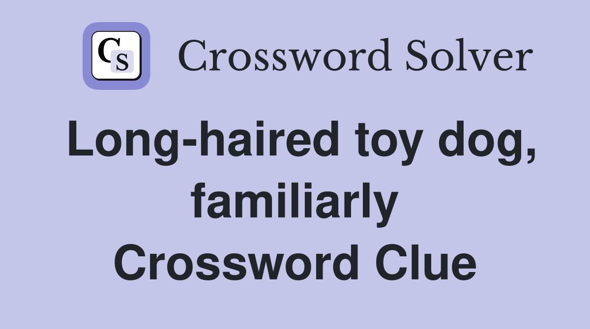 Long-haired toy dog, familiarly Crossword Clue