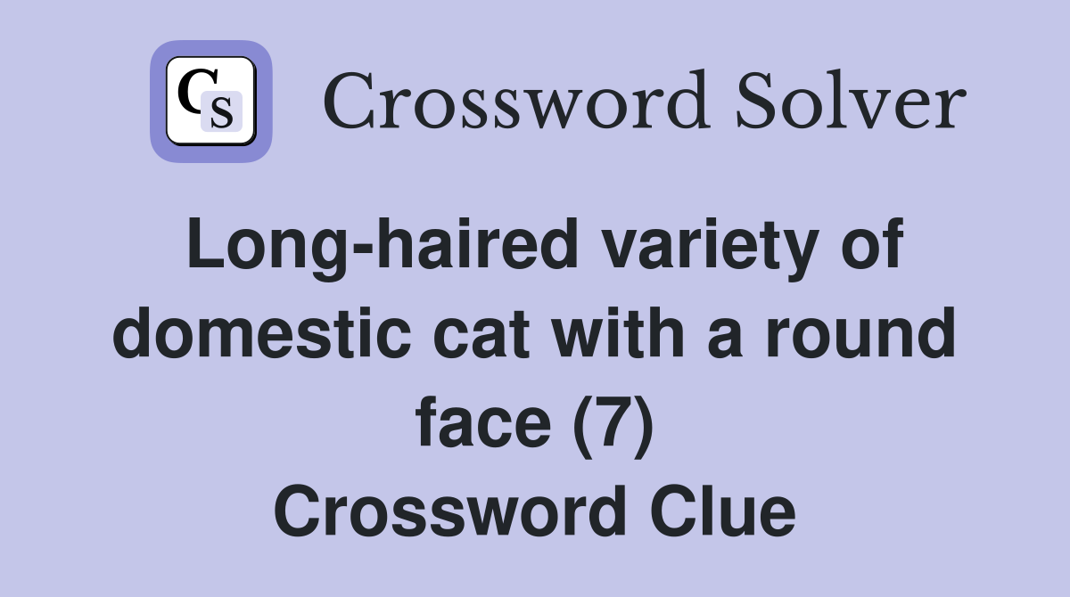 Long-haired variety of domestic cat with a round face (7) Crossword Clue