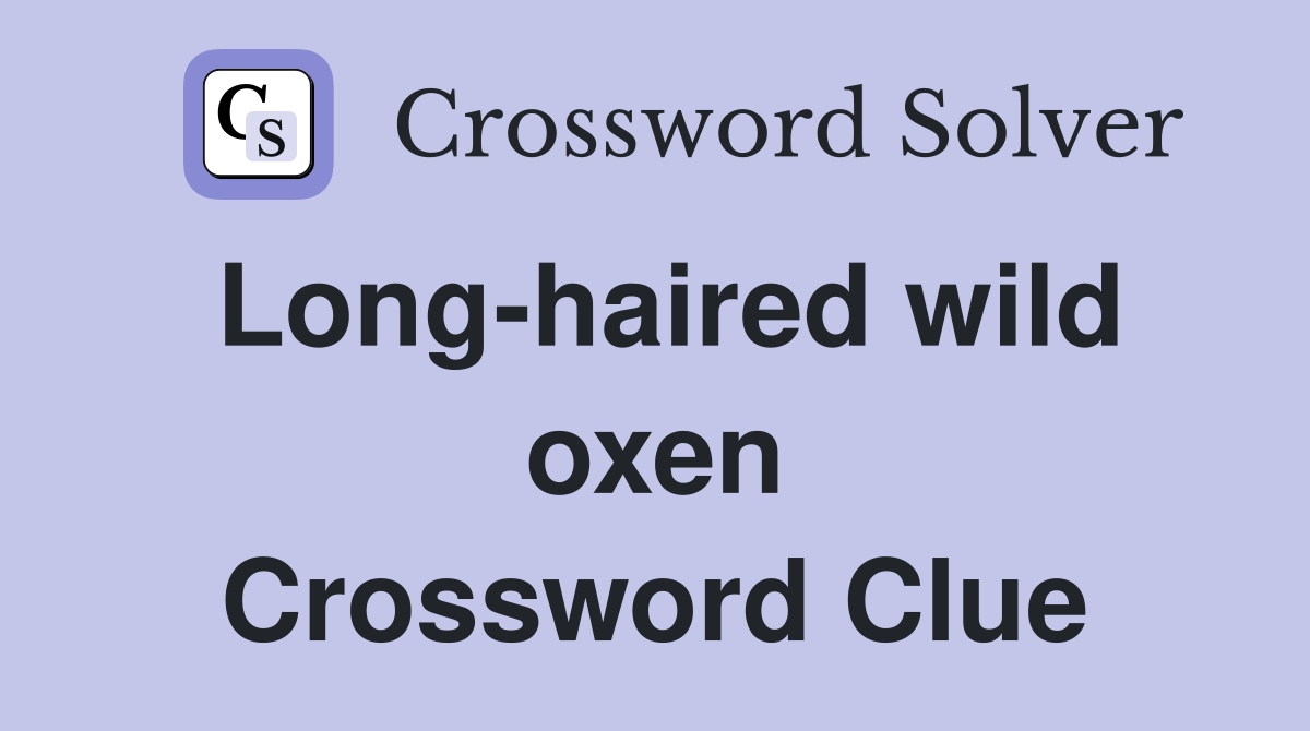 Long-haired wild oxen Crossword Clue