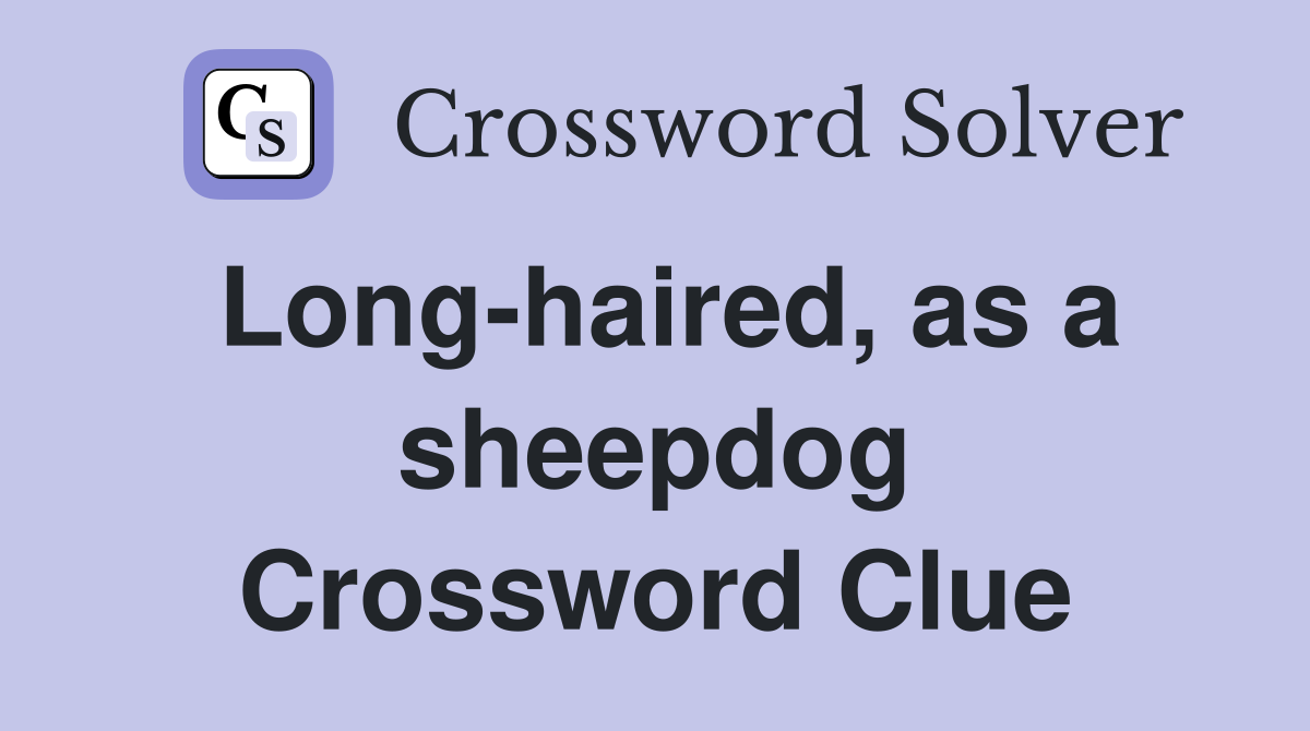 Long-haired, as a sheepdog Crossword Clue