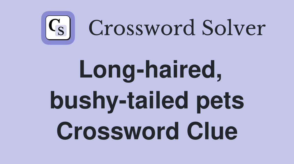 Long-haired, bushy-tailed pets Crossword Clue