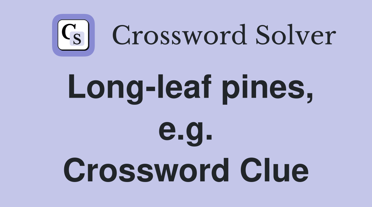 Long-leaf pines, e.g. Crossword Clue
