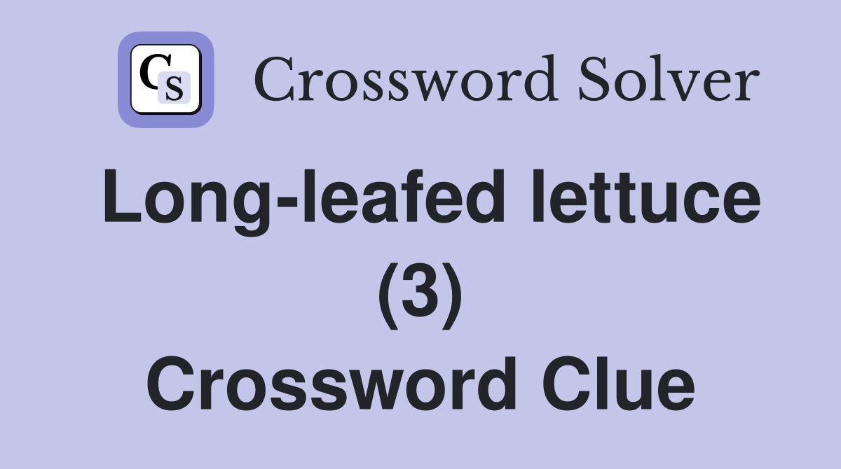 Long-leafed lettuce (3) Crossword Clue