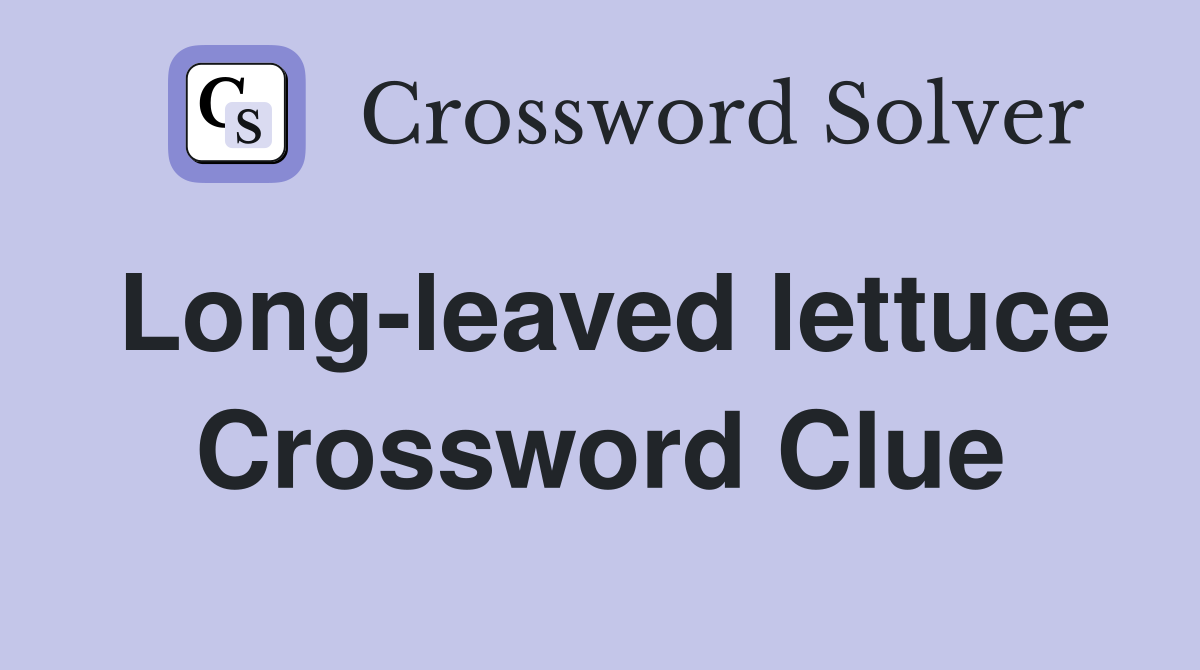 Long-leaved lettuce Crossword Clue