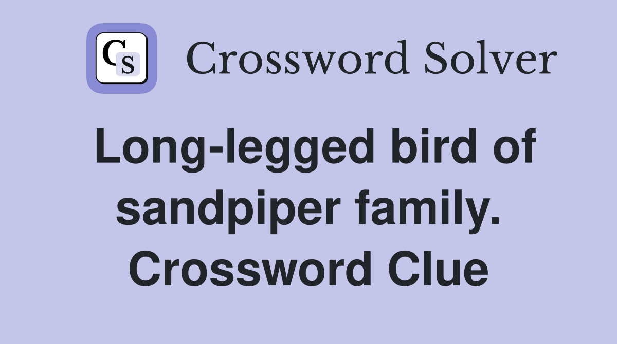 Long-legged bird of sandpiper family. Crossword Clue