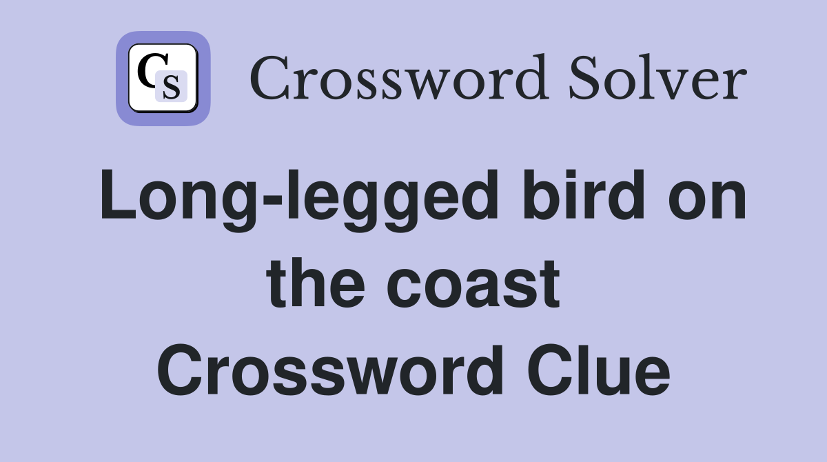 Long-legged bird on the coast Crossword Clue