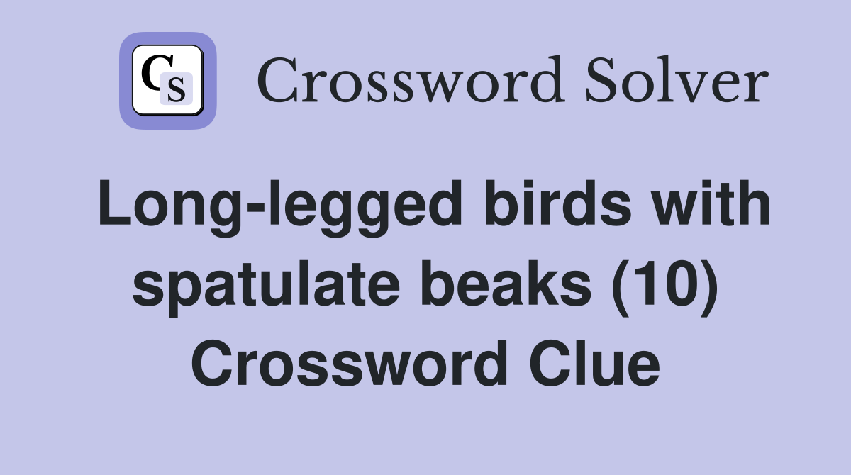 Long-legged birds with spatulate beaks (10) Crossword Clue