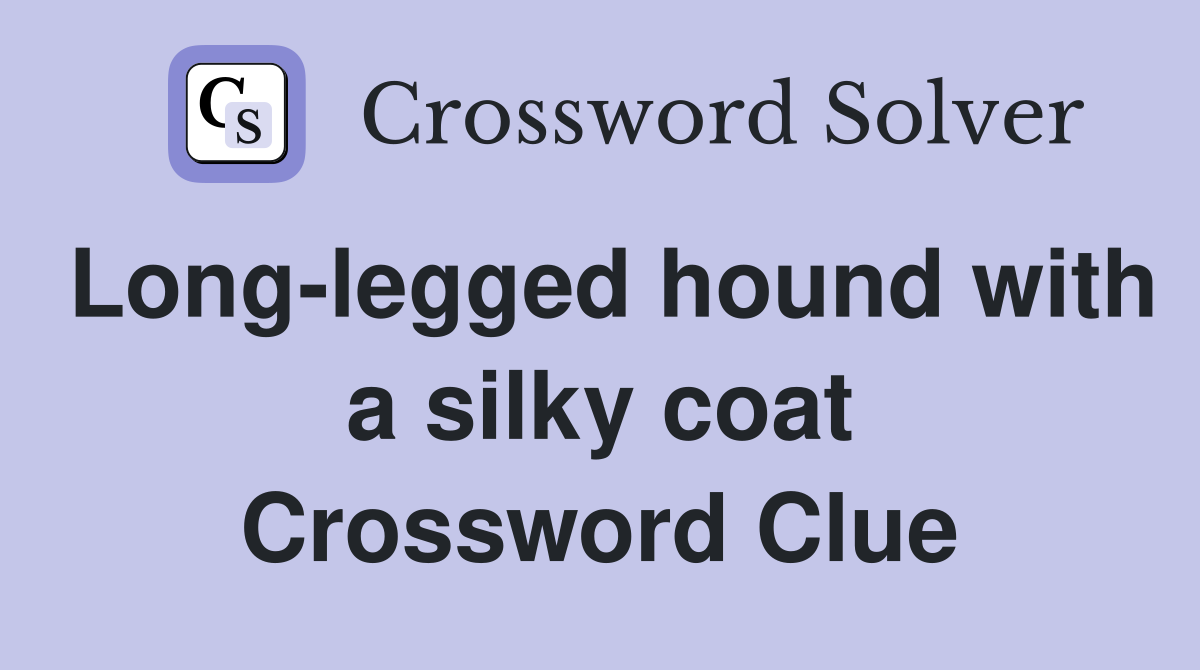 Long-legged hound with a silky coat Crossword Clue