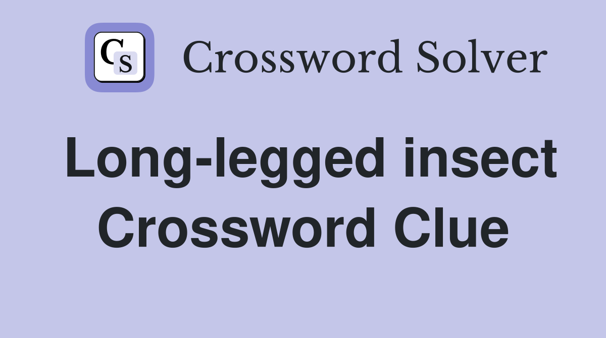 Long-legged insect Crossword Clue
