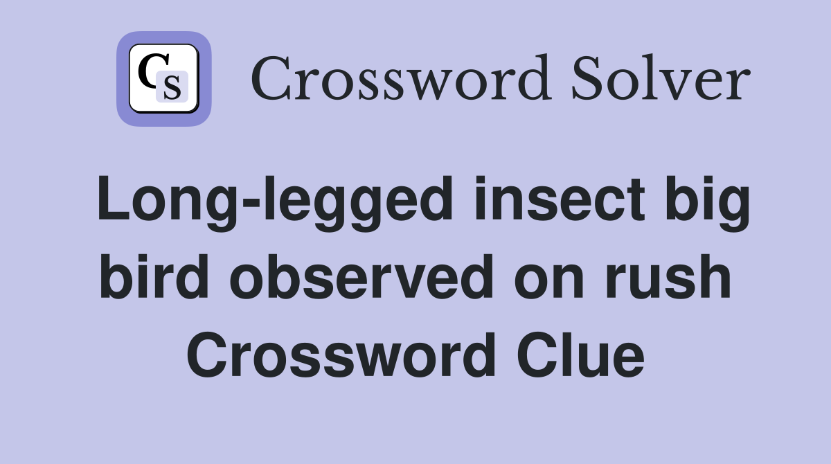 Long-legged insect big bird observed on rush Crossword Clue