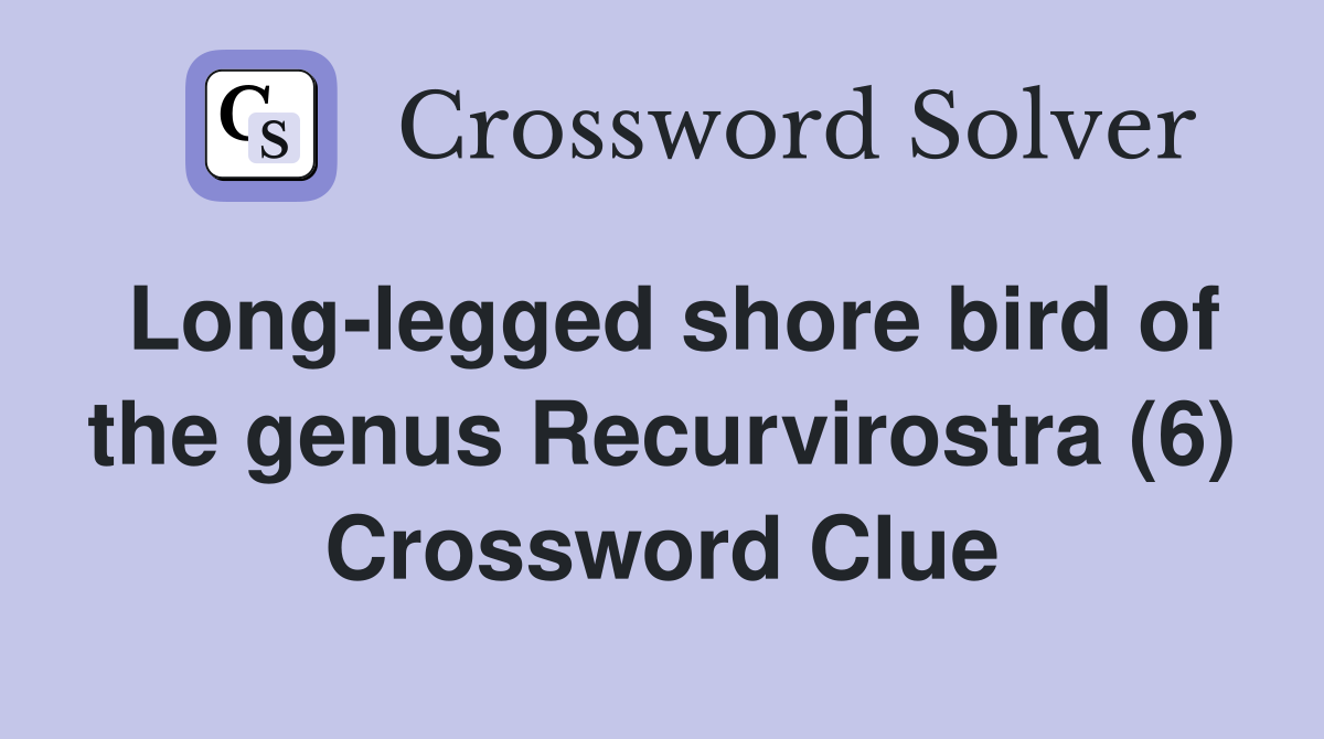 Long-legged shore bird of the genus Recurvirostra (6) Crossword Clue