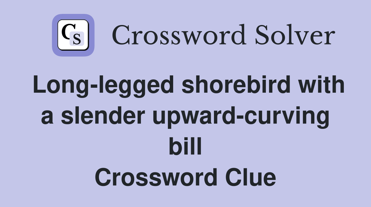 Long-legged shorebird with a slender upward-curving bill Crossword Clue