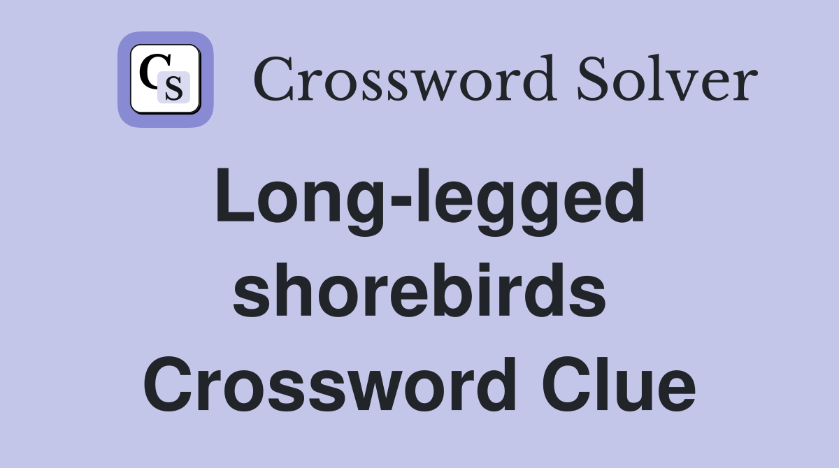 Long-legged shorebirds Crossword Clue