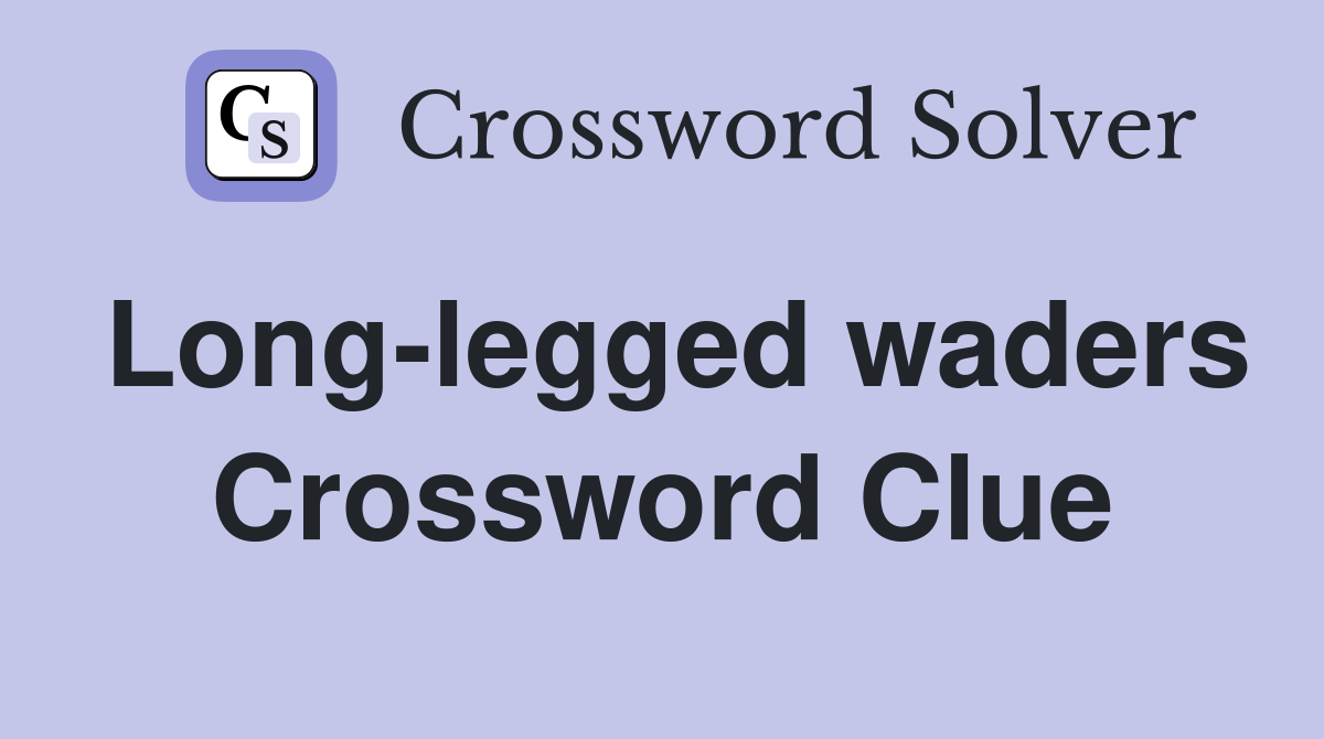 Long-legged waders Crossword Clue