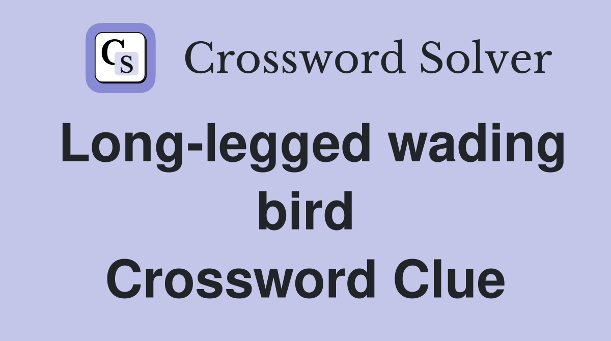 Long-legged wading bird Crossword Clue